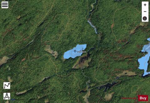 Toad Pond depth contour Map - i-Boating App - Satellite