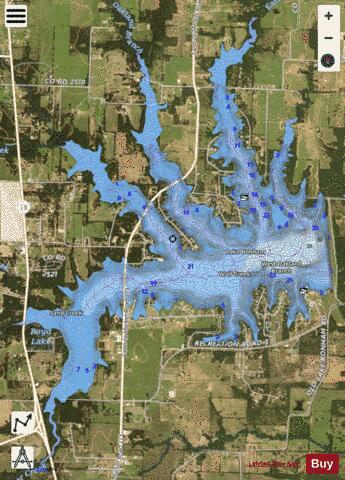Bonham depth contour Map - i-Boating App - Satellite