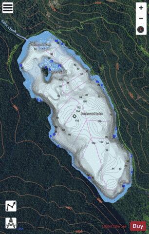 Packwood Lake depth contour Map - i-Boating App - Satellite
