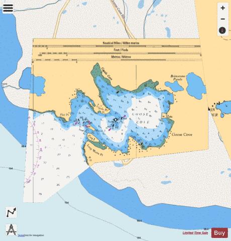 GOOSE COVE Marine Chart - Nautical Charts App - Streets