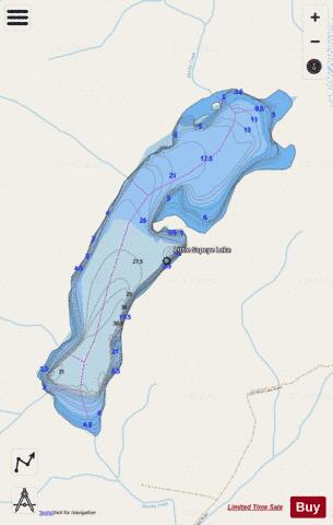 Little Sapeye Lake depth contour Map - i-Boating App - Streets