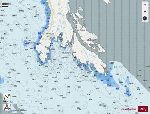 Whale Cove Marine Chart - Nautical Charts App - Streets