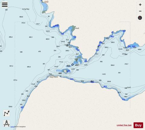 Nelson Narrows Marine Chart - Nautical Charts App - Streets