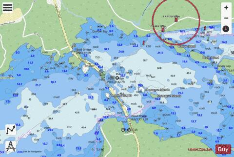 Twyning Island Bridge Marine Chart - Nautical Charts App - Streets
