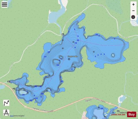 Fungus Lake (White River) depth contour Map - i-Boating App - Streets
