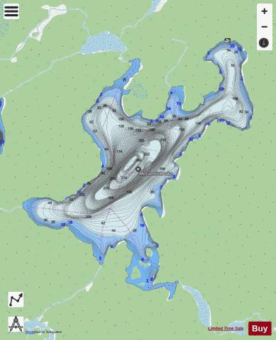 McCormick Lake depth contour Map - i-Boating App - Streets