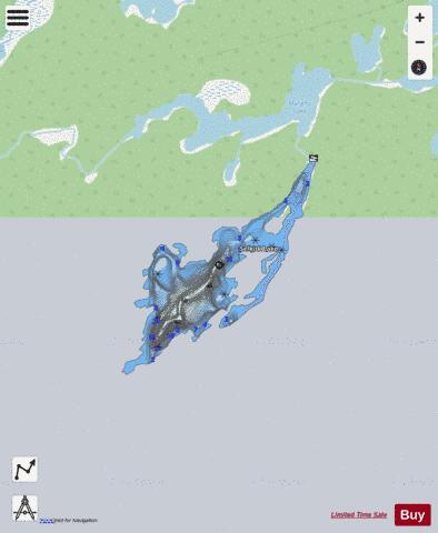 Selkirk Lake depth contour Map - i-Boating App - Streets