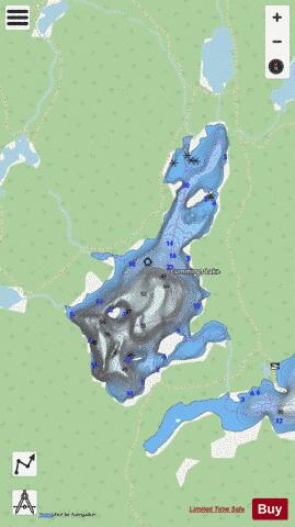 Cummings Lake depth contour Map - i-Boating App - Streets