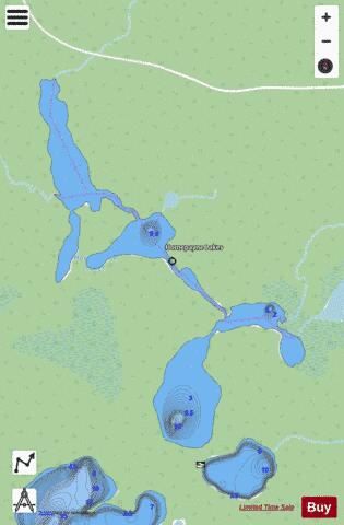 Homepayne Lake depth contour Map - i-Boating App - Streets