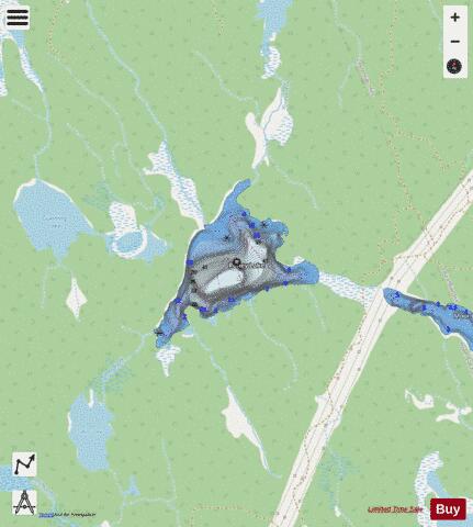 Roney Lake depth contour Map - i-Boating App - Streets