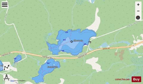 Albert Lake depth contour Map - i-Boating App - Streets