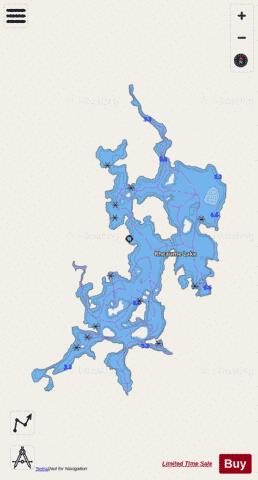 Rheaume Lake depth contour Map - i-Boating App - Streets