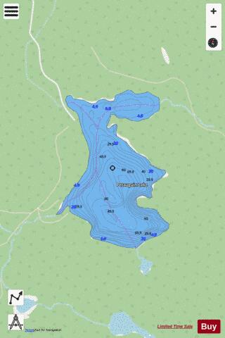 Petauguin Lake depth contour Map - i-Boating App - Streets