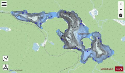 Mongoose Lake depth contour Map - i-Boating App - Streets