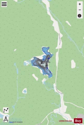 Pigeon Lake / Hanmer Lake depth contour Map - i-Boating App - Streets