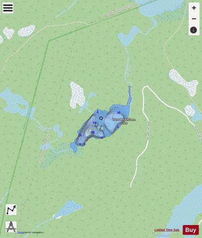 West Headstone Lake depth contour Map - i-Boating App - Streets