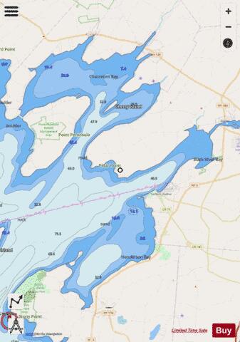 CHAUMONT HENDERSON AND BLACK RIVER BAYS NEW YORK Marine Chart - Nautical Charts App - Streets