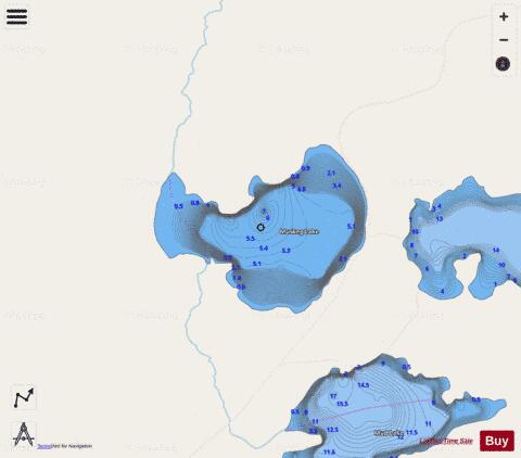 Muskeg Lake depth contour Map - i-Boating App - Streets