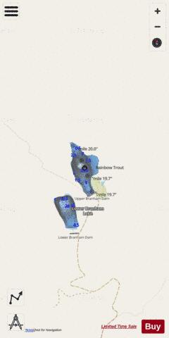 Upper Branham Lake depth contour Map - i-Boating App - Streets