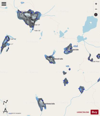Whitcomb Lake depth contour Map - i-Boating App - Streets