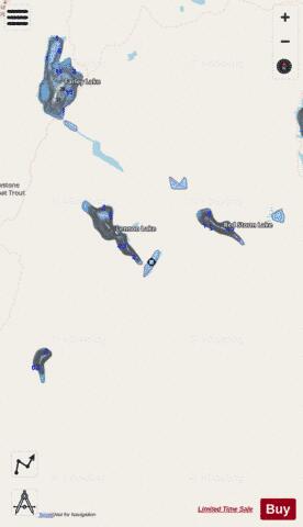 Wade Jr Lake depth contour Map - i-Boating App - Streets