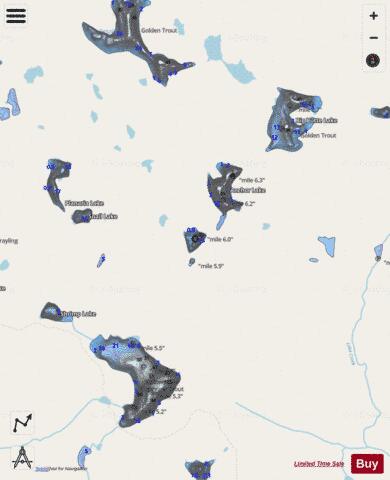 Widowed Lake depth contour Map - i-Boating App - Streets