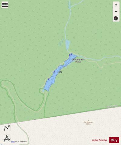 FLAT MOUNTAIN POND depth contour Map - i-Boating App - Streets